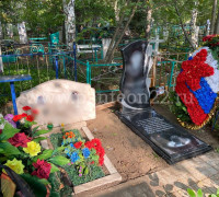 Памятники (готовые объекты)